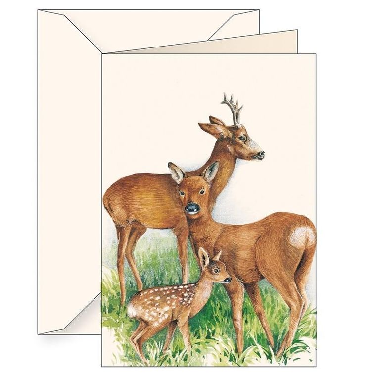 Tassotti, karnet B6 z kopertą, jelonki