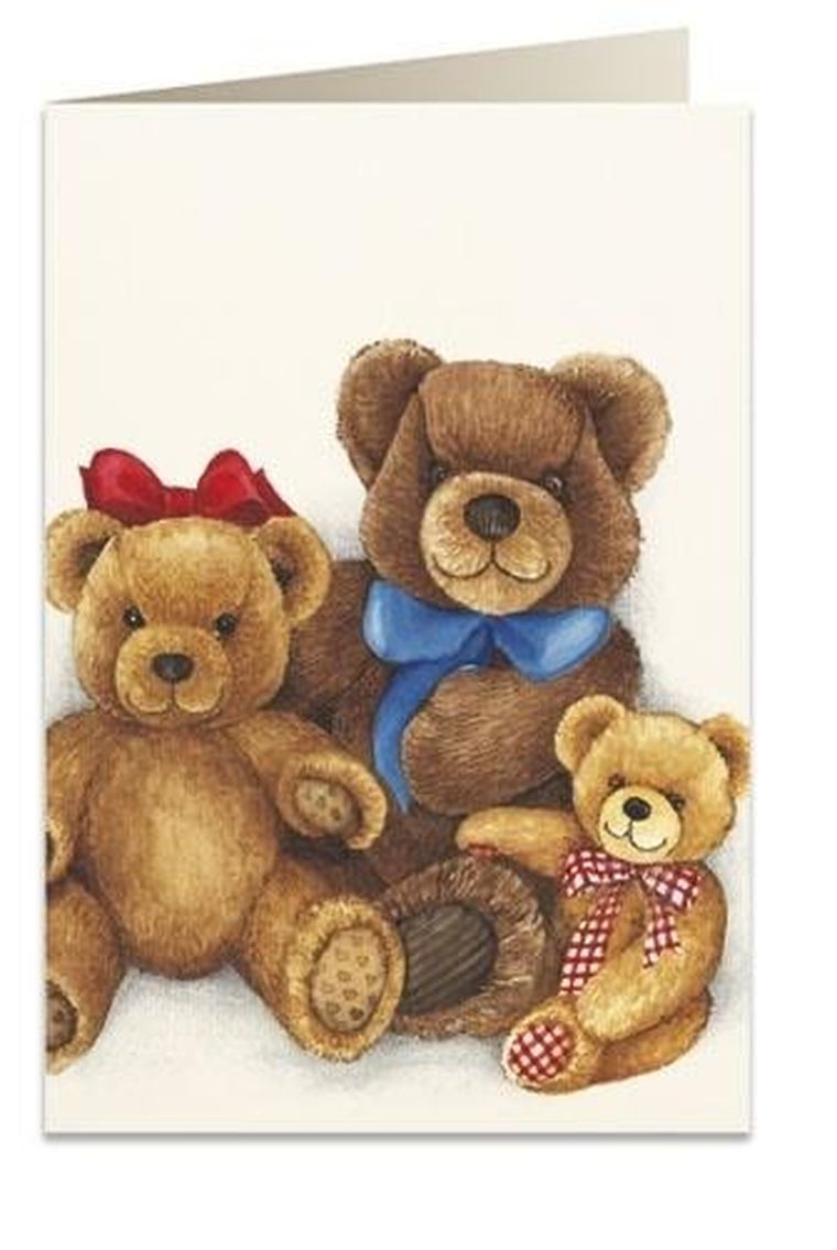 Tassotti, karnet B6 z kopertą, Pluszowe misie