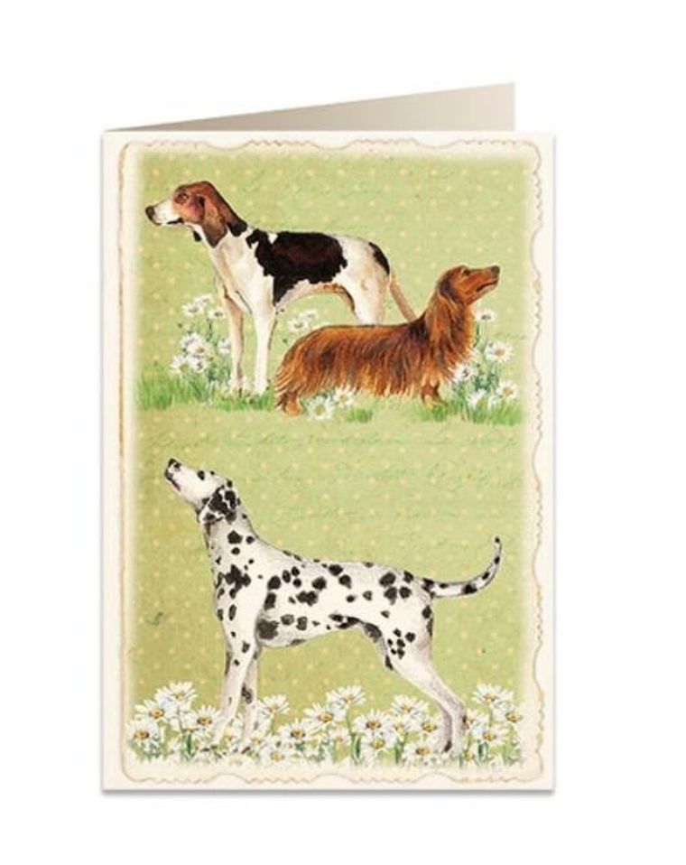 Tassotti, karnet B6 z kopertą, Psy