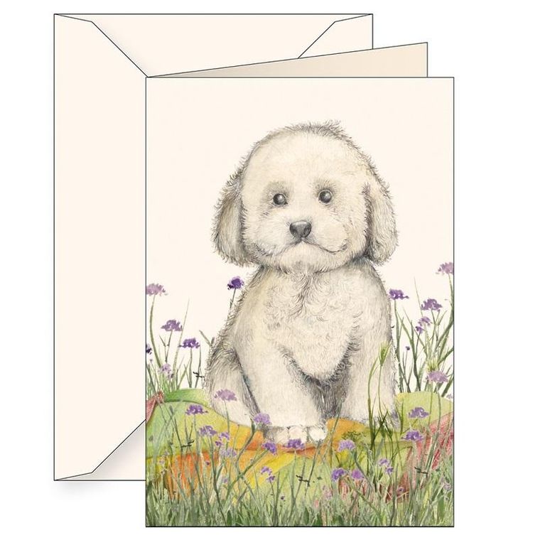 Tassotti, karnet B6 z kopertą, pudel