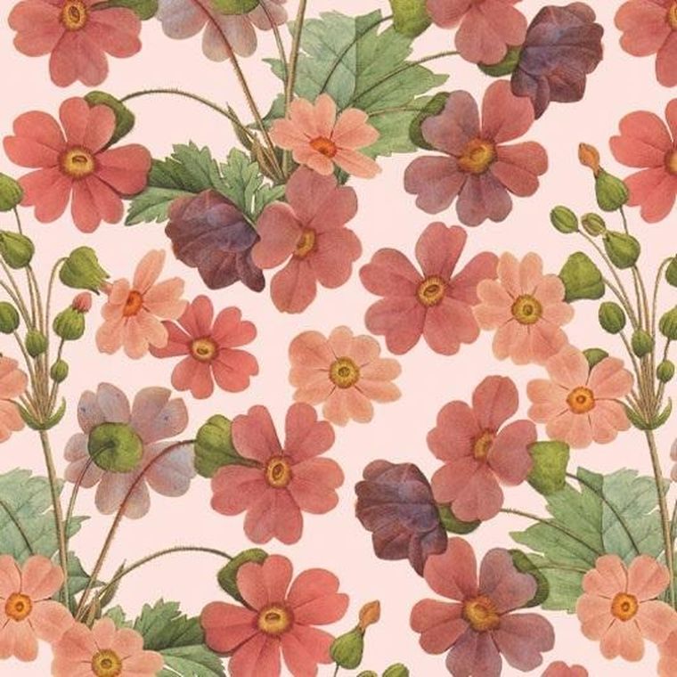 Tassotti, papier do origami, Pierwiosnek, 24 arkusze, 15-15 cm