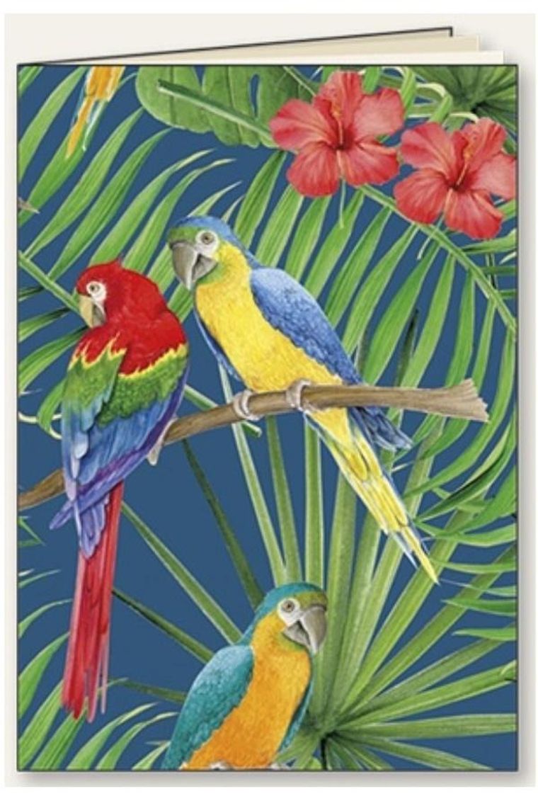Tassotti, zeszyt ozdobny A5, 48 kartek, linia, Papugi, 1 szt.