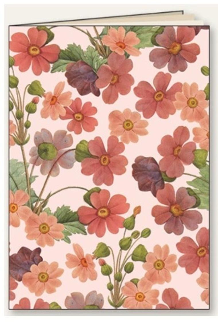 Tassotti, zeszyt ozdobny A5, 48 kartek, linia, Stokrotka, 1 szt.