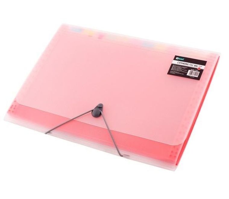 Teczka A4, 12 przegródek, czerwona, 1 szt.