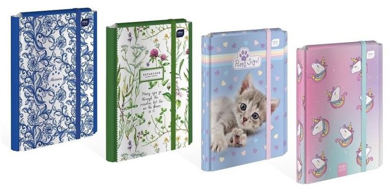 Teczka A4 z gumką, twarda, 1 szt.