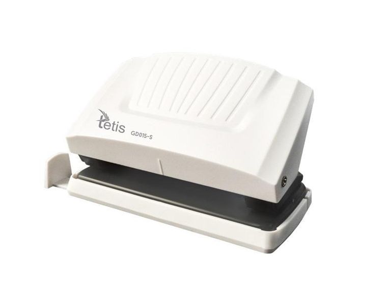 Tetis, mały dziurkacz, szary