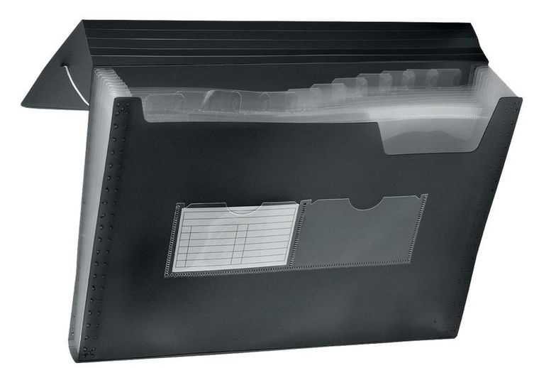 Tetis, teczka harmonijkowa A4, gumka narożna, 13 przegród, czar, 1 szt.