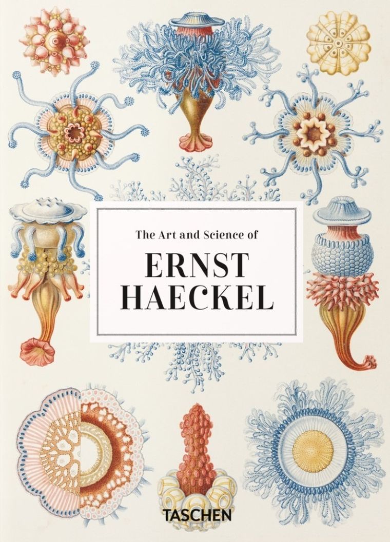 The Art and Science of Ernst Haeckel