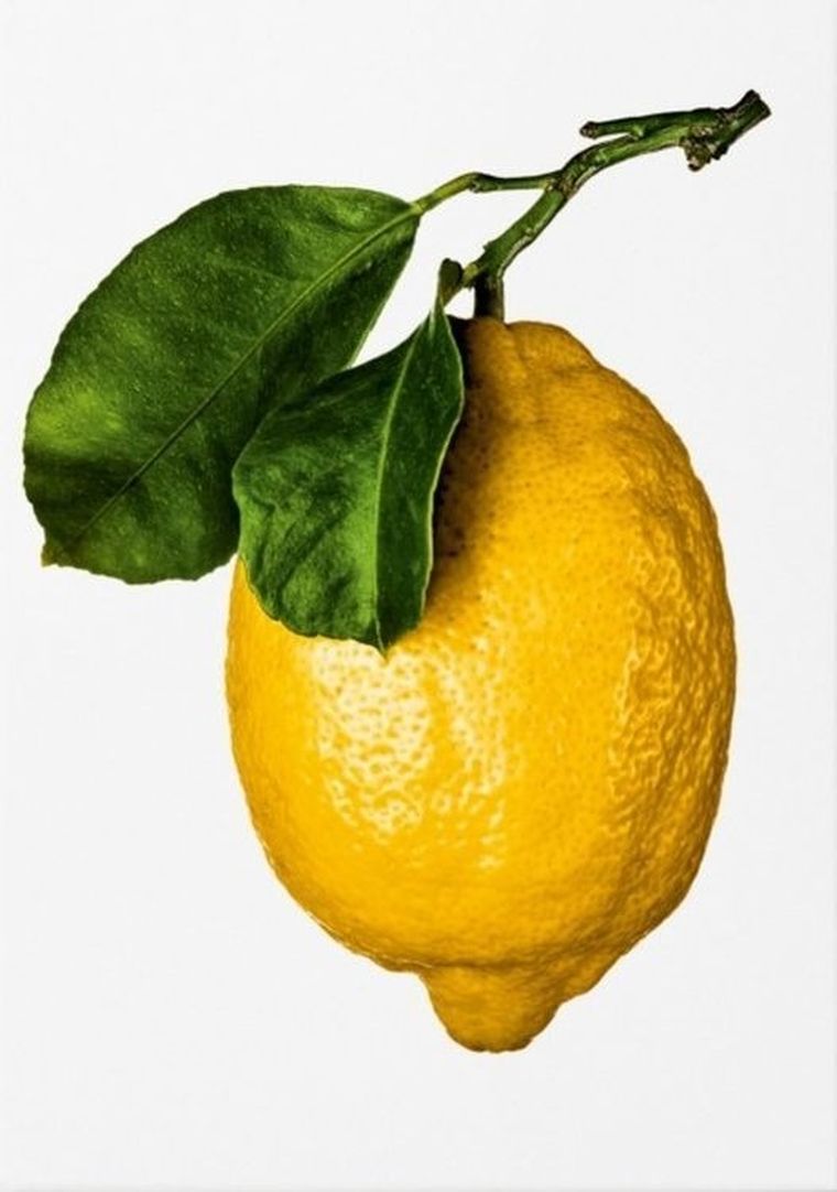The Gourmand's Lemon (wersja angielska)