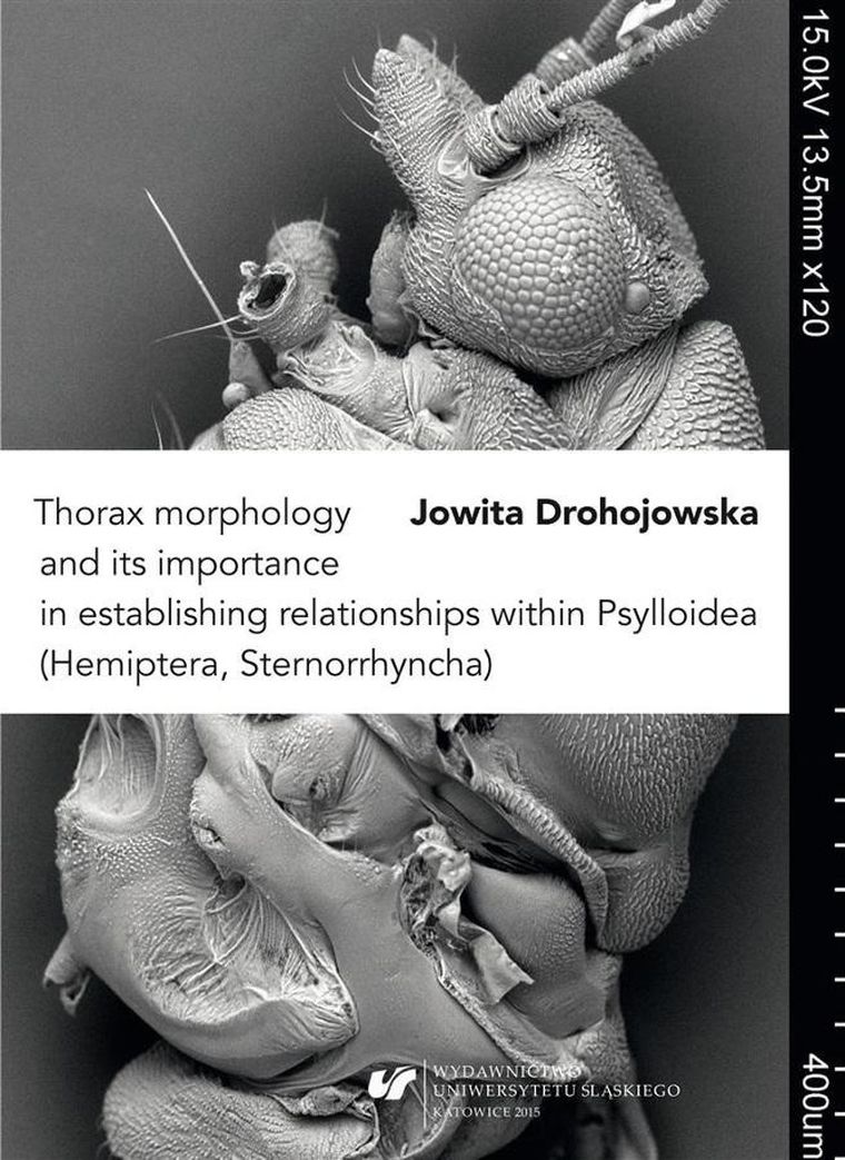 Thorax morphology and its importance in establishing relationshipswithin Psylloidea (Hemiptera, Sternorrhyncha)