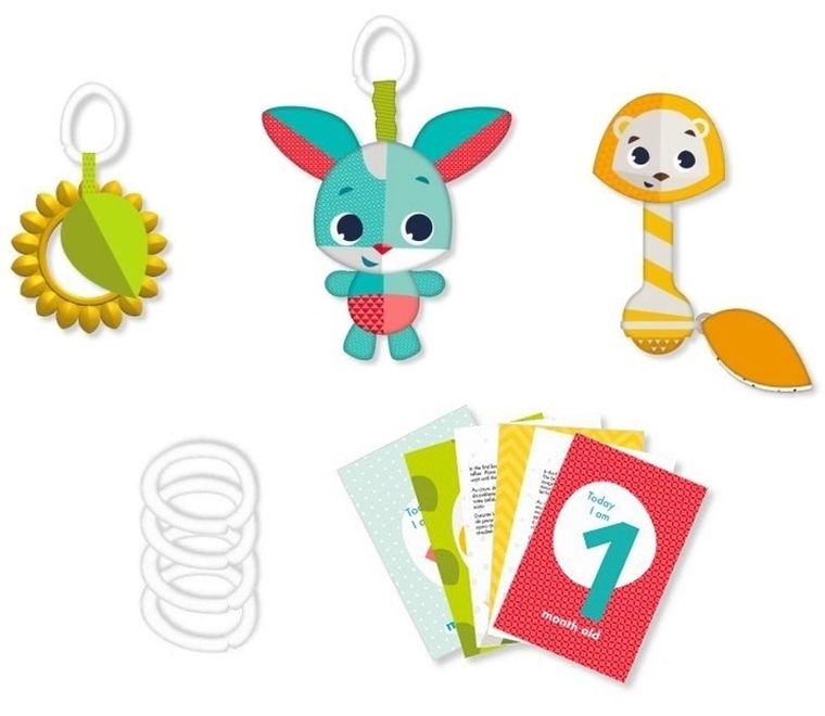 Tiny love, Zabawa na łące, zestaw zabawek z kartami