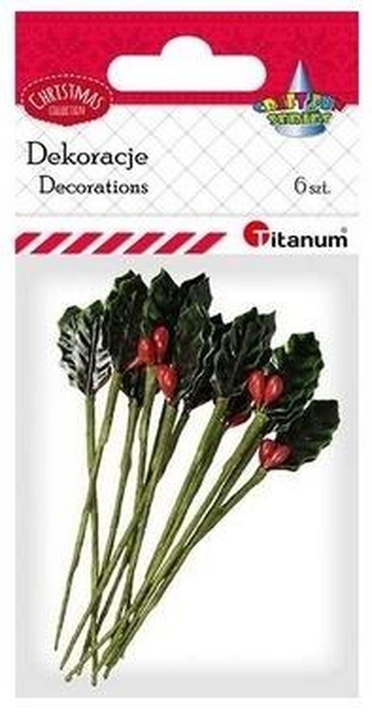 Titanum, gałązki ostrokrzewu, 15-30 mm, 6 szt.