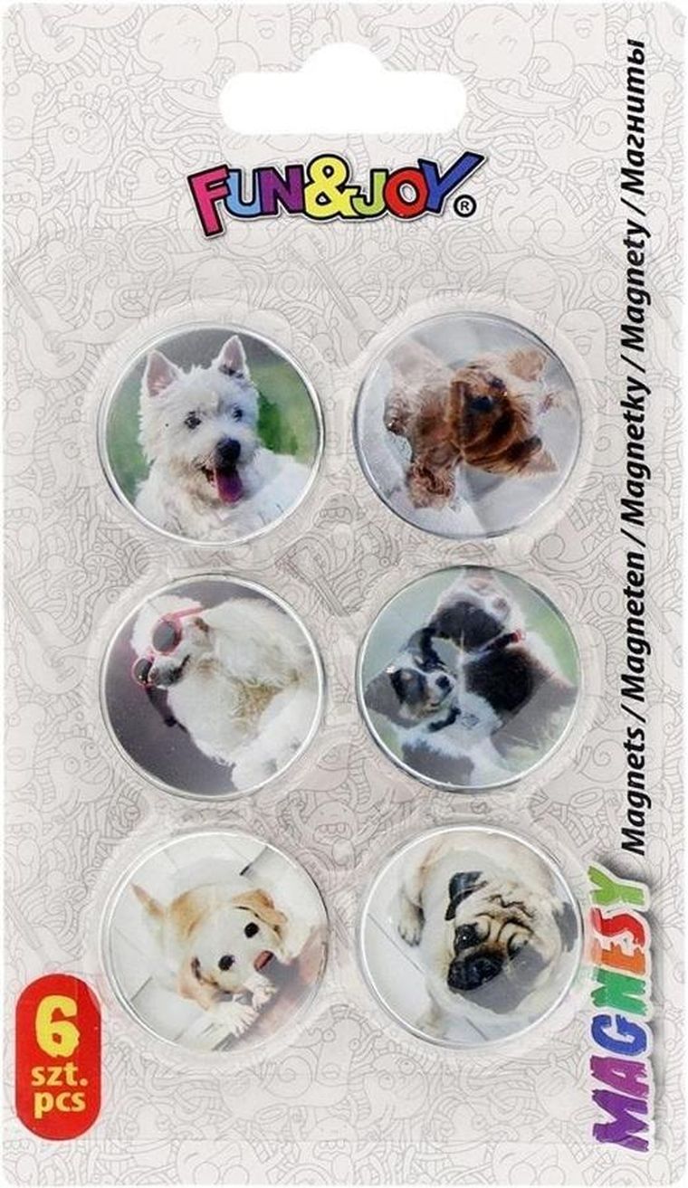 Titanum, magnesy szklane do tablic, psy