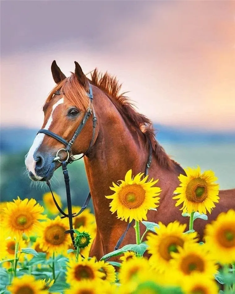 Titanum, malowanie po numerach, Koń w słonecznikach, 30-40 cm