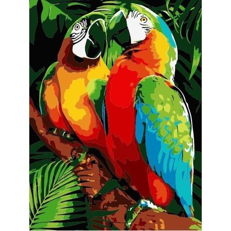 Titanum, malowanie po numerach, Papugi, 30-40 cm
