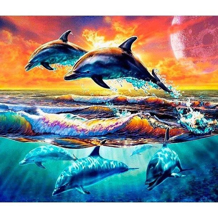 Titanum, mozaika diamentowa, Delfiny, 30-40 cm