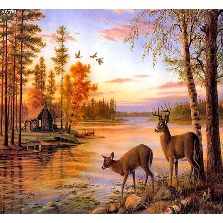 Titanum, mozaika diamentowa, Jeleń, 30-40 cm