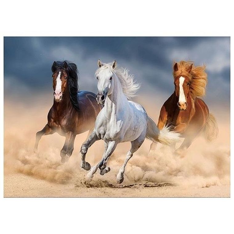 Titanum, mozaika diamentowa, Konie, 30-40 cm