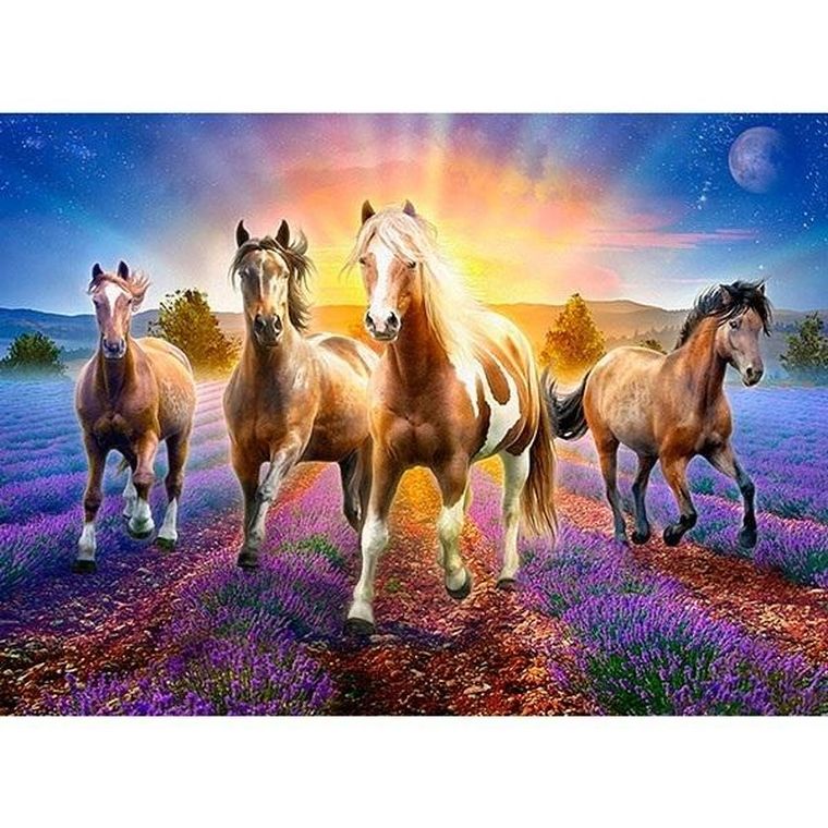 Titanum, mozaika diamentowa, Konie, 30-40 cm