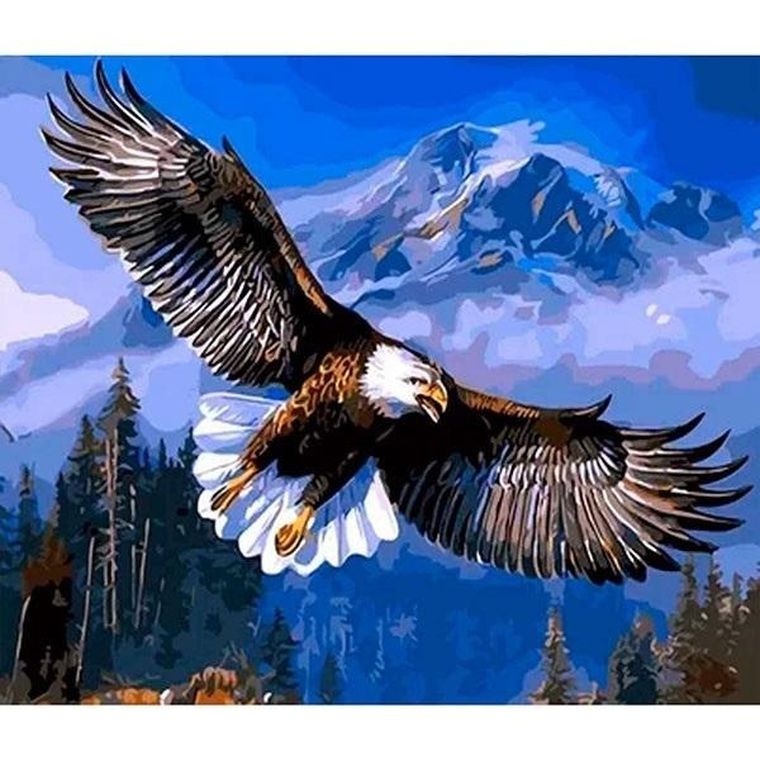 Titanum, mozaika diamentowa, Orzeł, 30-40 cm