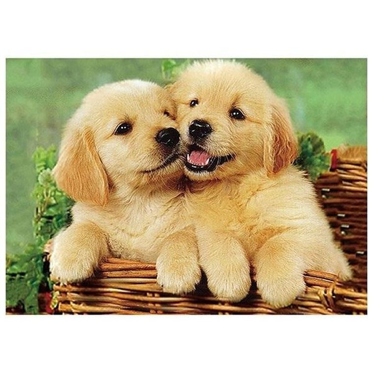 Titanum, mozaika diamentowa, Psy, 30-40 cm