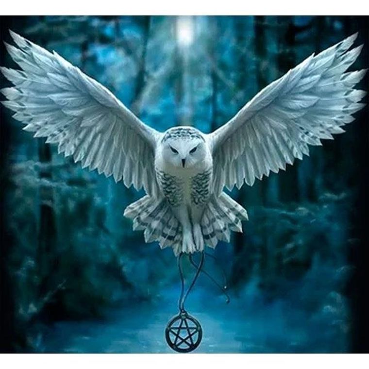 Titanum, mozaika diamentowa, Sowa, 30-40 cm