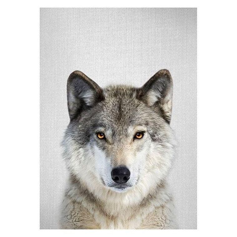 Titanum, mozaika diamentowa, Wilk, 30-40 cm