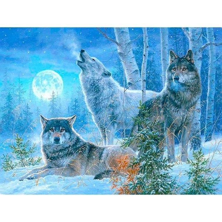 Titanum, mozaika diamentowa, Wilki, 30-40 cm