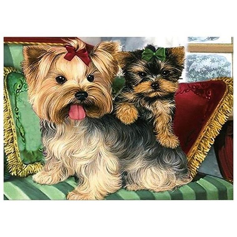 Titanum, mozaika diamentowa, Yorki, 30-40 cm