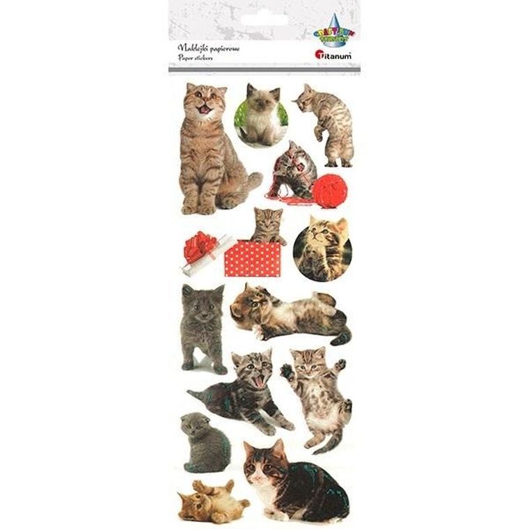 Titanum, naklejki papierowe, koty