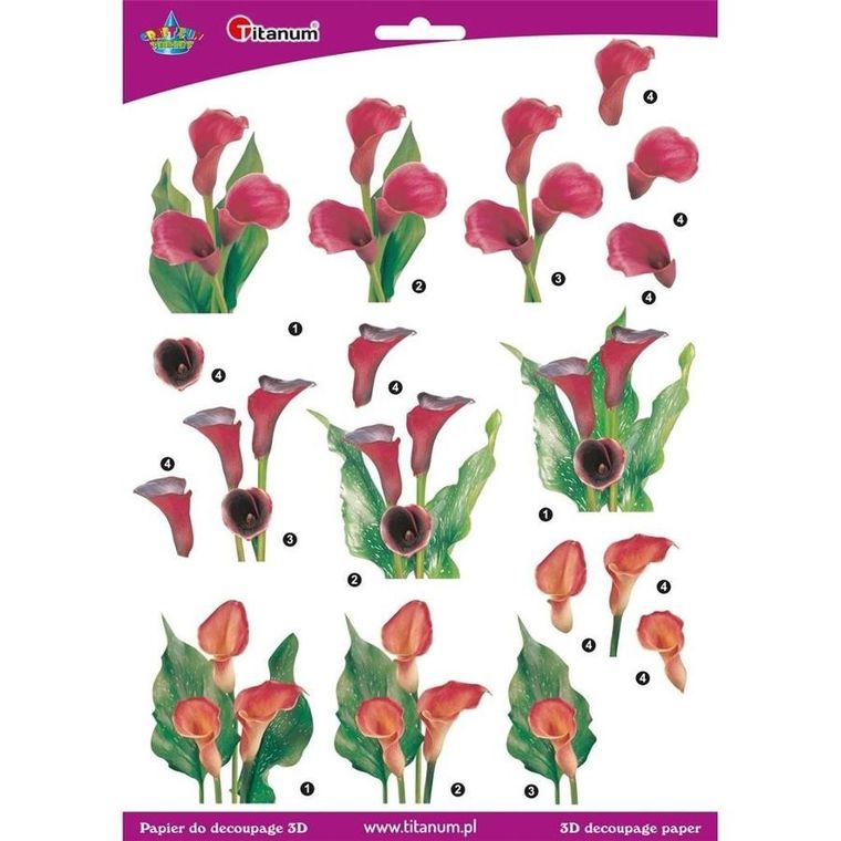 Titanum, papier do decoupage 3D, kwiaty kalie, arkusz