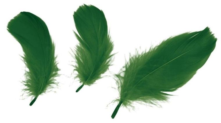 Titanum, piórka puch, ciemnozielone, 16g