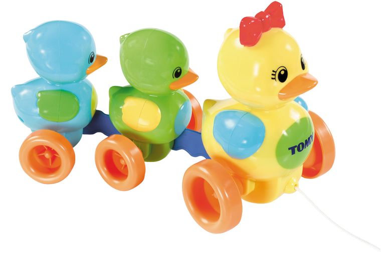 Tomy, Rodzina kaczuszek