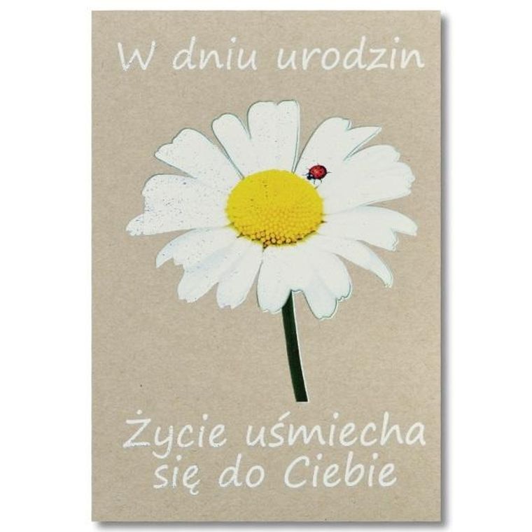 Trend, kartka okolicznościowa, Urodziny