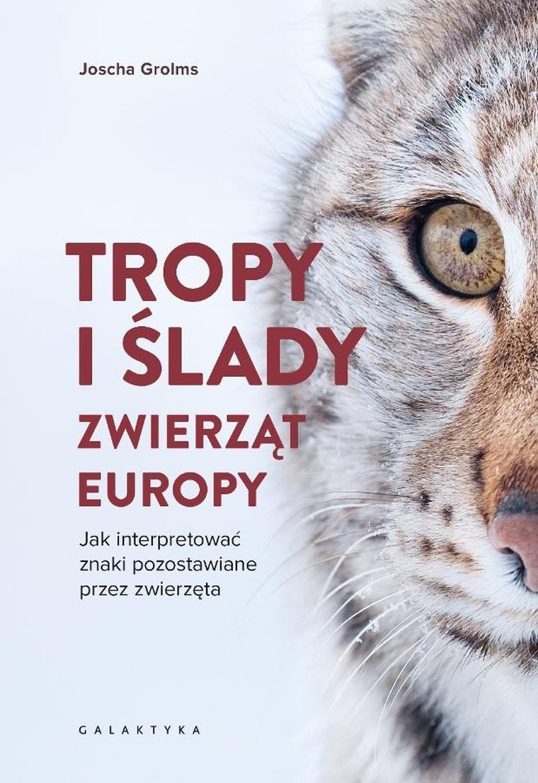 Tropy i ślady zwierząt Europy. Jak interpretować znaki pozostawiane przez zwierzęta