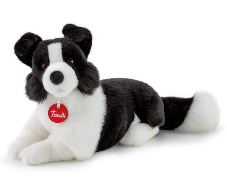 Trudi, border colie, maskotka, M