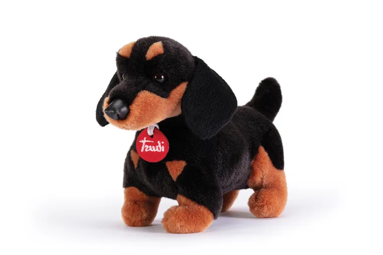 Trudi, maskotka, jamnik Leo, S