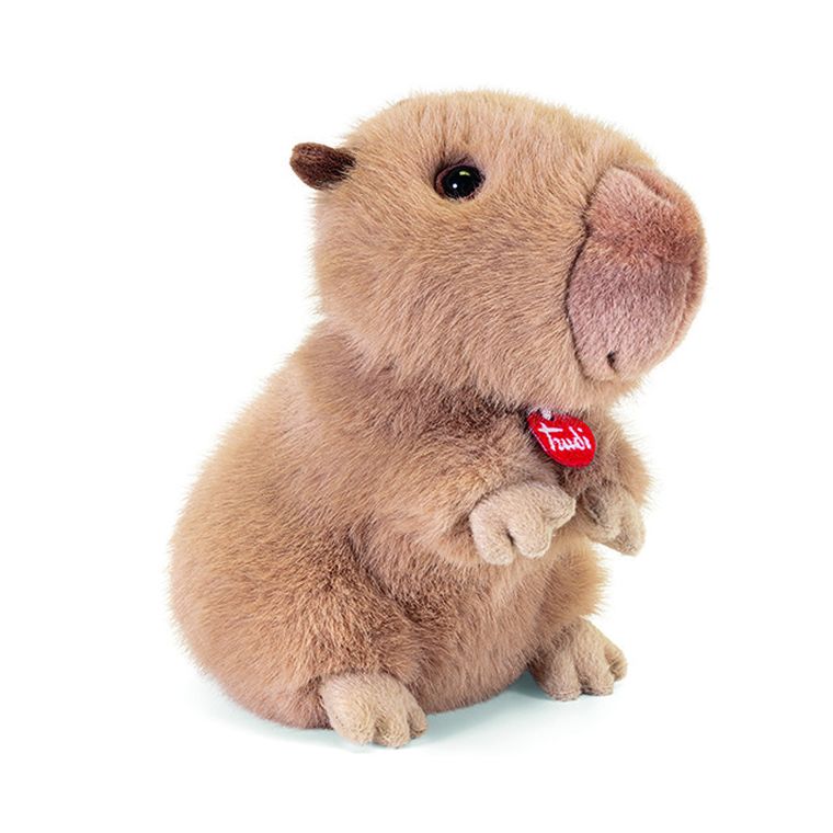 Trudi, maskotka, kapibara, S