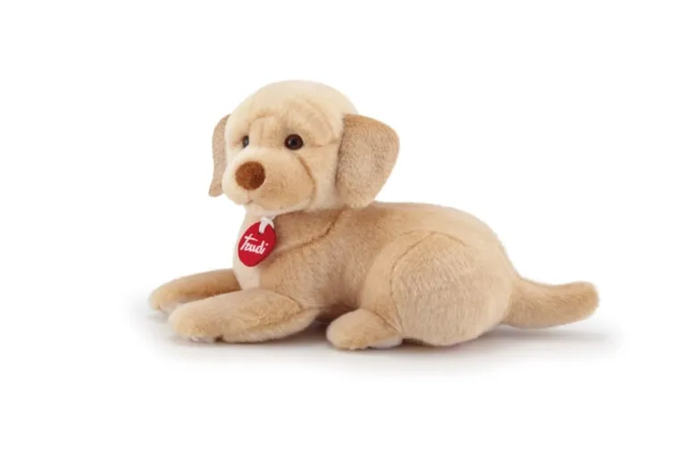 Trudi, maskotka, labrador, S