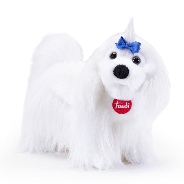 Trudi, maskotka, maltańczyk, M