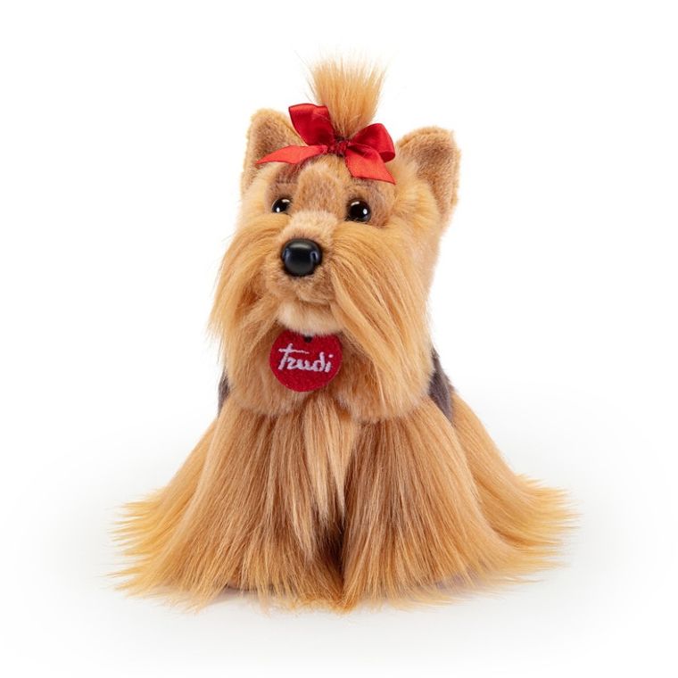 Trudi, Pies Yorkshire Terier, maskotka, S