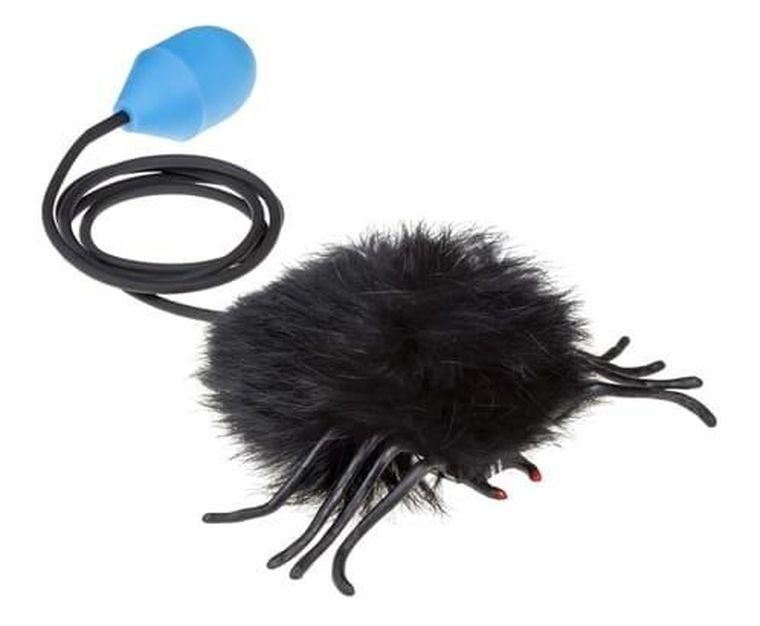 Tullo, skaczący pająk, czarny