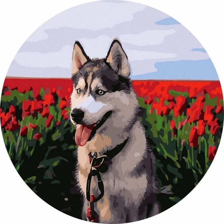 Twoje Hobby, malowanie po numerach, okrągłe, Husky tulipany, 40 cm