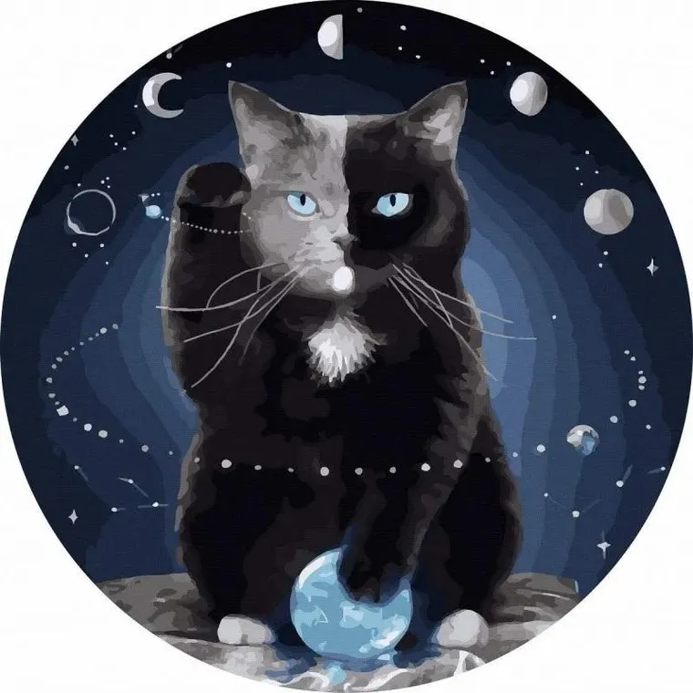 Twoje Hobby, malowanie po numerach, okrągłe, Kot w kosmosie, 40 cm