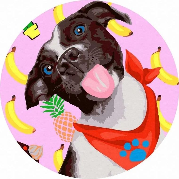 Twoje Hobby, malowanie po numerach, okrągłe, Pies-uśmiech, 40 cm