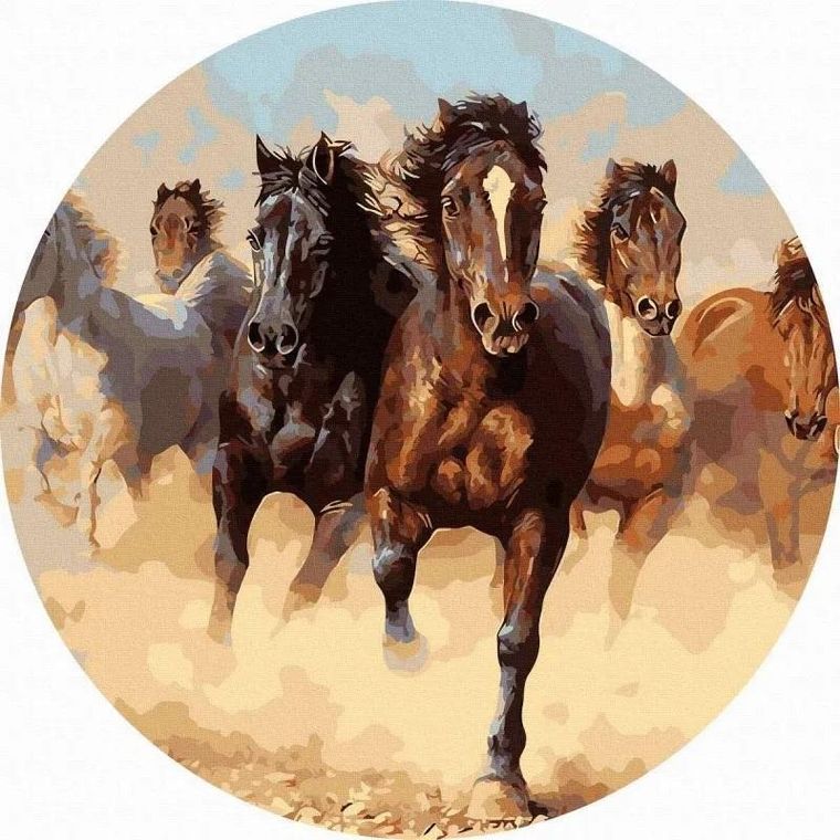 Twoje Hobby, malowanie po numerach, okrągłe, Stado koni, 40 cm