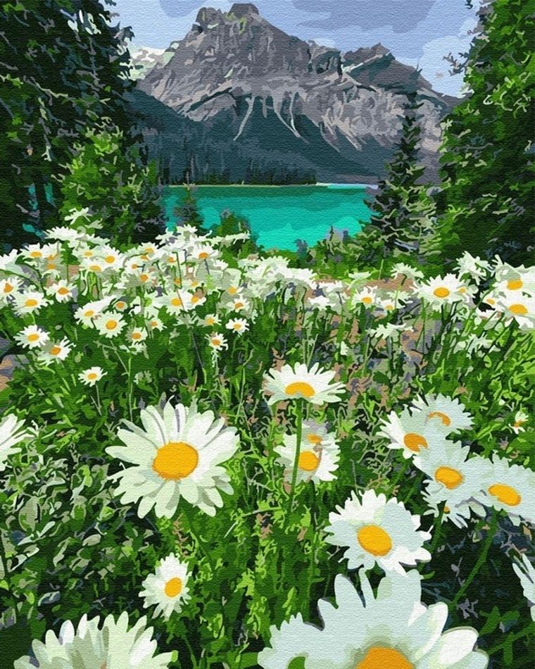 Twoje Hobby, malowanie po numerach, Rumianki w górach, 40-50 cm