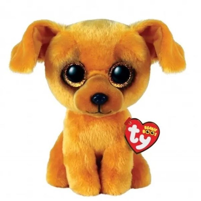 Ty, Beanie Boos, pies Zuzu, maskotka, 15 cm