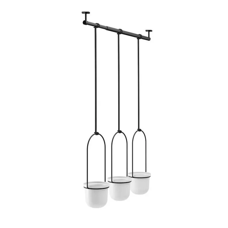 Umbra, kwietnik potrójny, Triflora