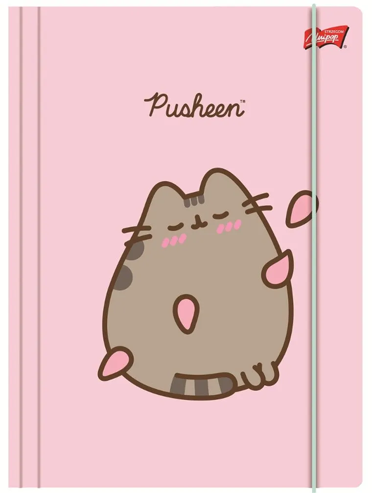 Unipap, Pusheen, teczka z gumką A4, Pink
